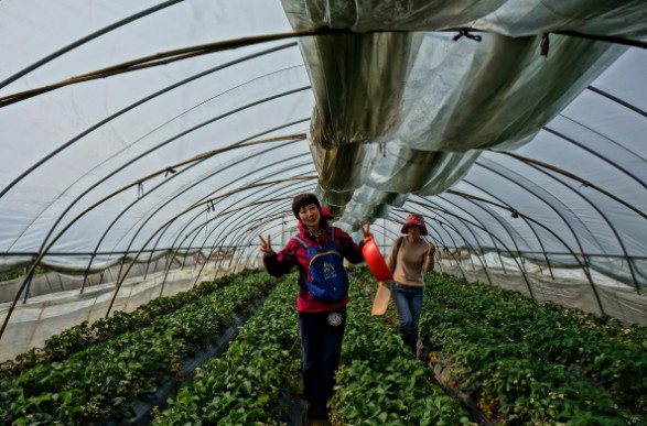 圖片關(guān)鍵詞