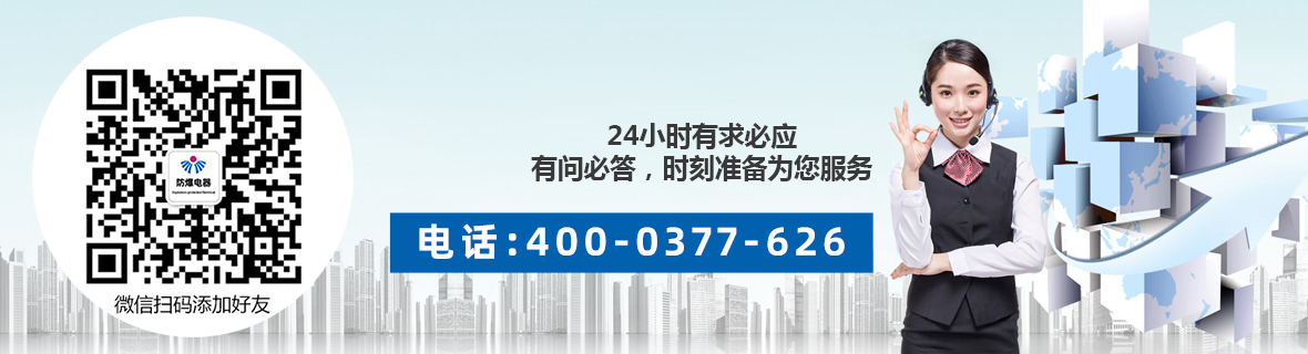 公司簡介